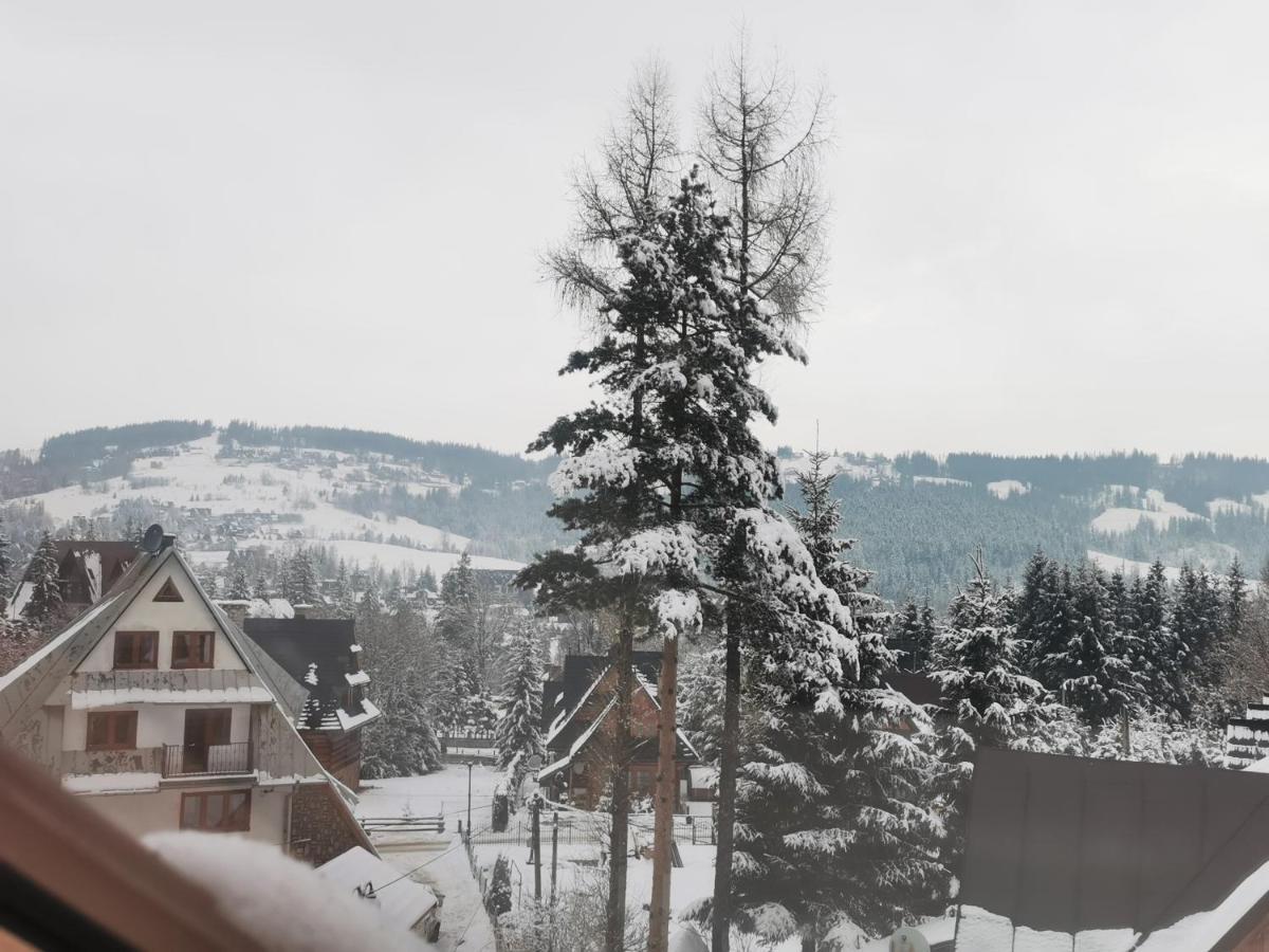 Apartamenty Villa Ski-Bowki 자코파네 외부 사진